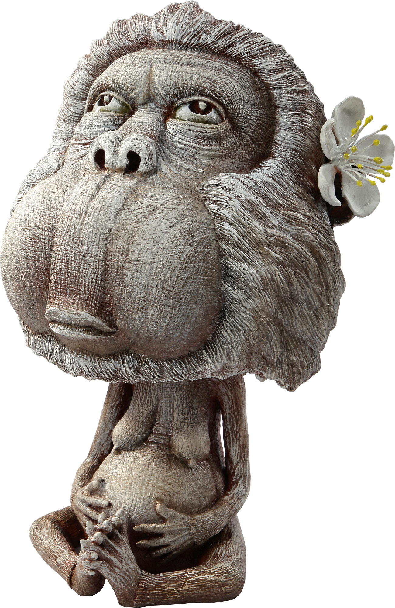 合十獼猴_Meditating_Macaque